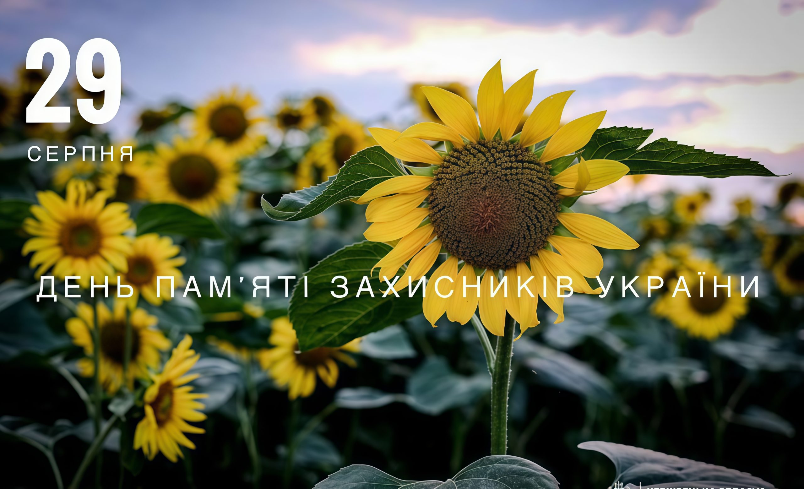 День пам’яті захисників України,  які загинули в боротьбі за незалежність, суверенітет і територіальну цілісність України
