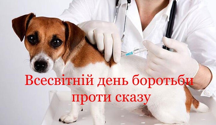 Всесвітній день боротьби зі сказом: чому це важливо