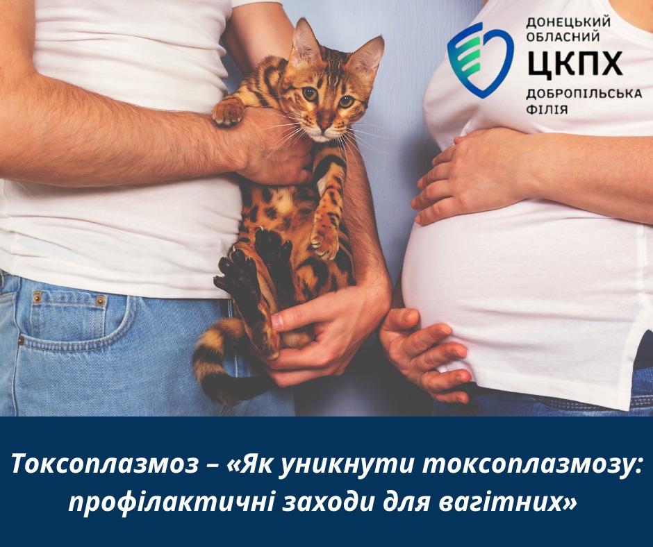 Токсоплазмоз – «Як уникнути токсоплазмозу: профілактичні заходи для вагітних»