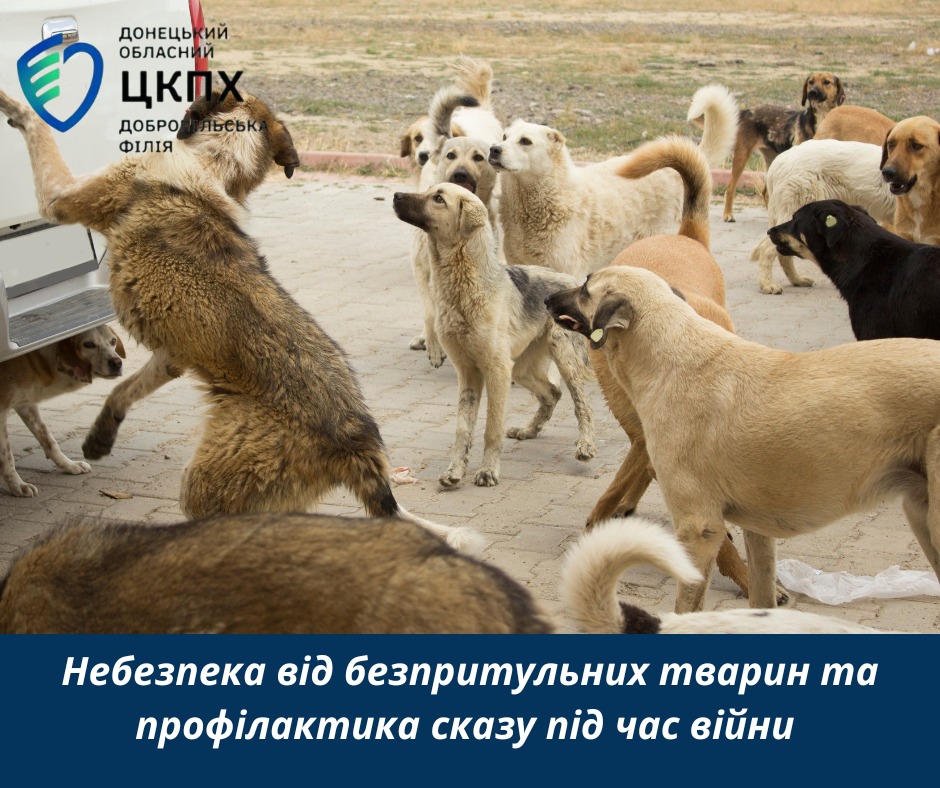 Небезпека від безпритульних тварин та профілактика сказу під час війни