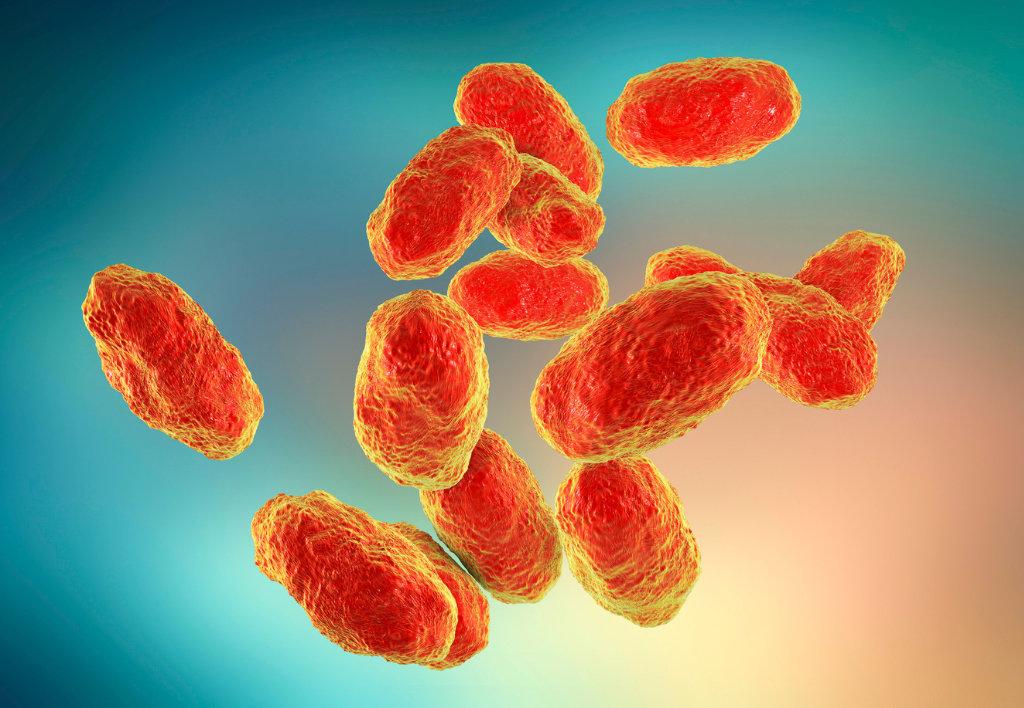 Тиха, але підступна: що таке Гемофільна інфекція