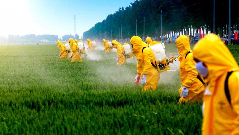 Щодо безпечного використання пестицидів