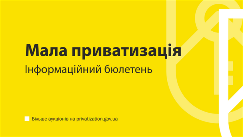 Мала приватизація