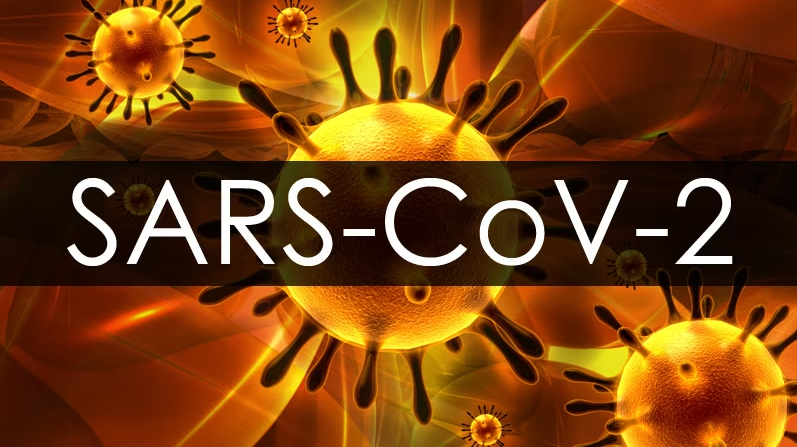Уберегтися від вірусу SARS-COV-2 можна, дотримуючись звичайних заходів обережності та правил гігієни: